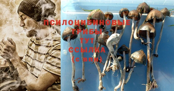 экстази Абдулино